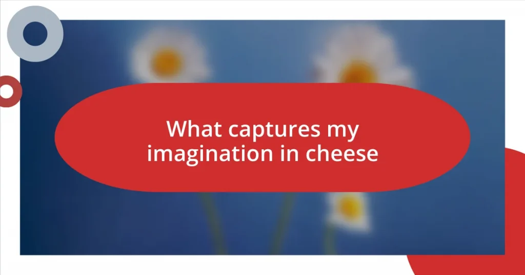 What captures my imagination in cheese